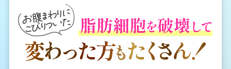脂肪を破壊して変わった方もたくさん！