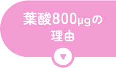 葉酸800μgの理由