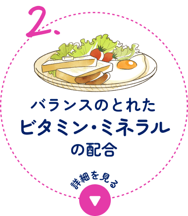 2.バランスのとれたビタミン・ミネラルの配合
