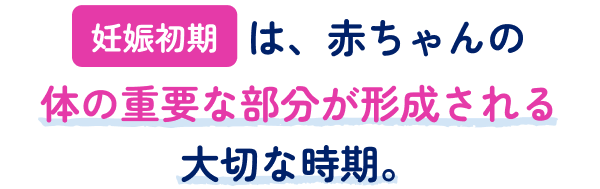 妊娠初期は、赤ちゃんの体の重要な部分が形成される大切な時期。