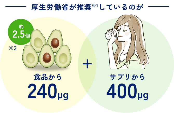 厚生労働省が推奨している葉酸の摂取手段