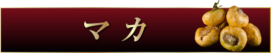 マカ