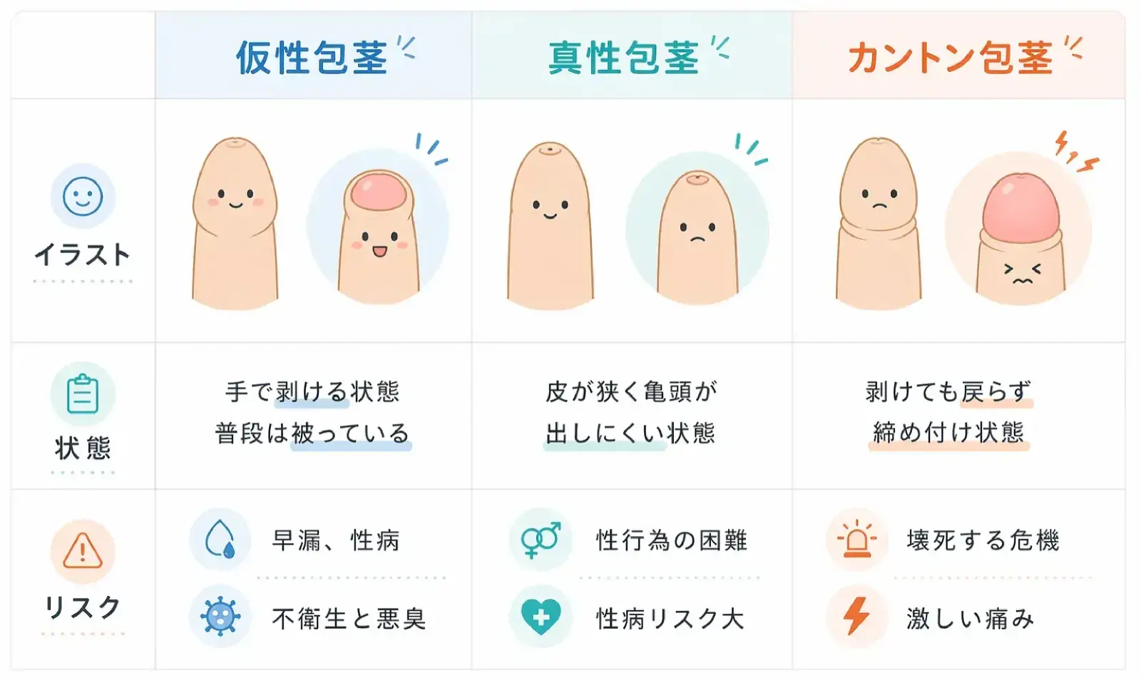 包茎の種類 — 仮性・真性・カントンの3タイプ