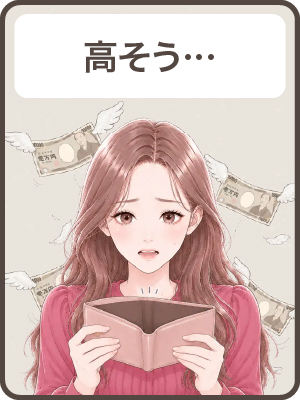 【高そう】