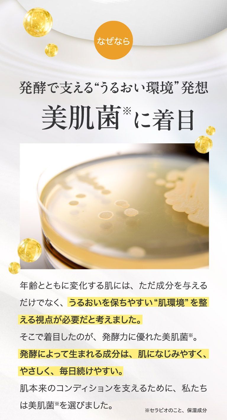 美肌菌に着目