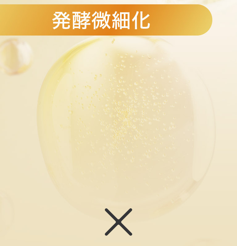 発酵微細化