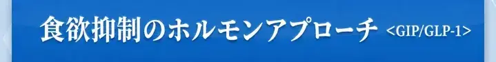 食欲抑制ダイエット注射