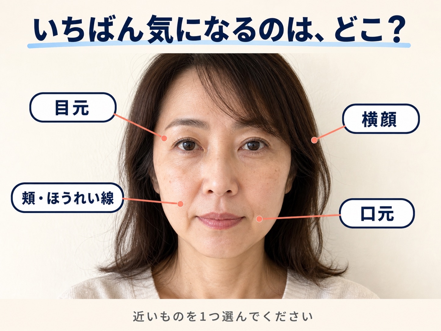 目元、頬・ほうれい線、口元、横顔の位置ガイド